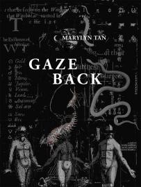 Gaze Back